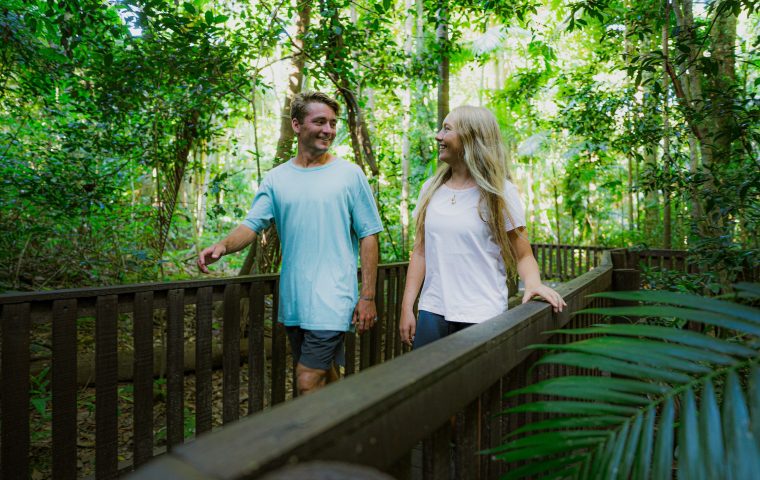 Fig Tree Walk on the boardwalk through the forest