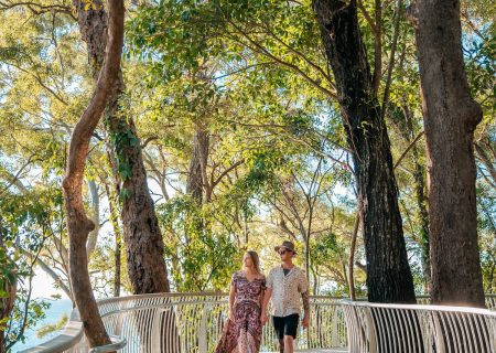 Boardwalk to Noosa National Park